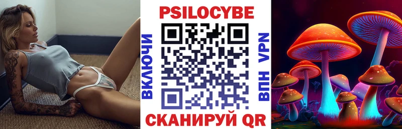Купить где  Петушки  Псилоцибиновые грибы мухоморы 